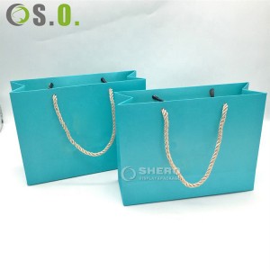 Custom Logo Size Special paper Shopping Gift Bag with Rope