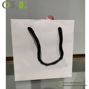 Customization Gift Jewelry Products Packaging Paper Bag for Fashion Jewellery Store
