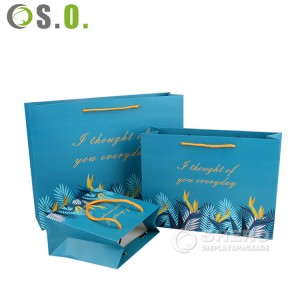 Custom Printed Brand Logo Design Promotion Luxury Clothing Retail Gift Shopping Jewellery Paper Bag With Three standed Rope Handle