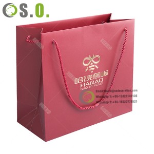 Custom Logo Printing Red Personalized Luxury Shopping Handbag Gift Paper Bag with Ribbon Handle Jewelry