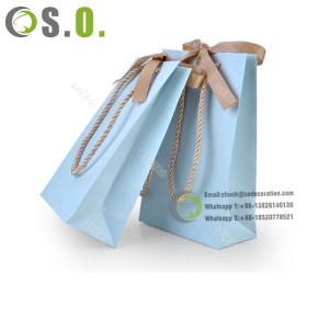 Gift Custom Jewelry Packaging Carry Paper Bag With Ribbon Handle Blue Shopping Bag for Gift Store Shopping Bag